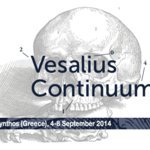 Vesalius Continuum